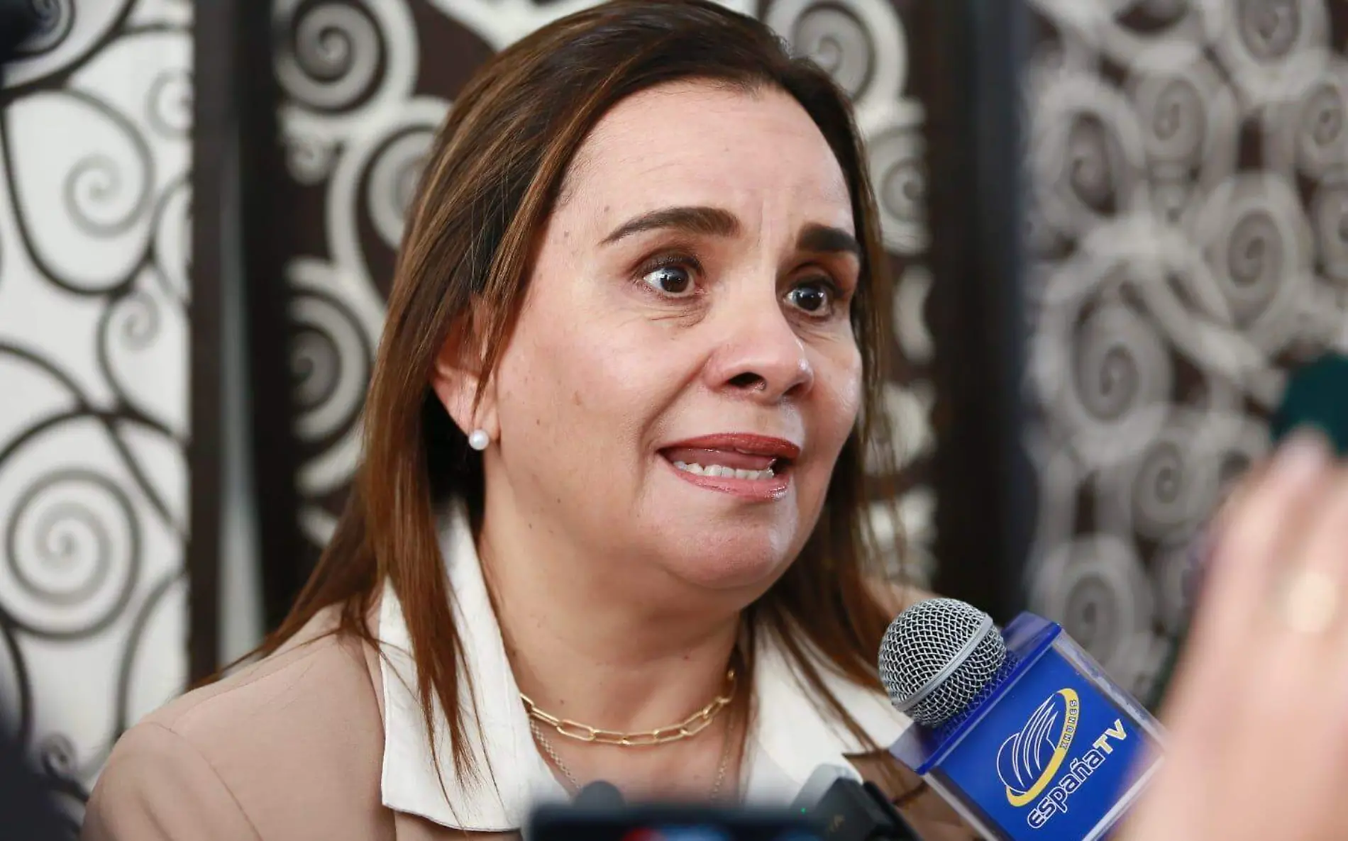 Carmen Arrieta, directora del Sistema Nacional de Vigilancia Epidemiológica